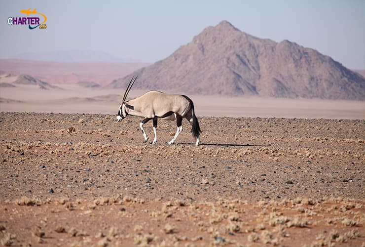 پارک ملی ایونا