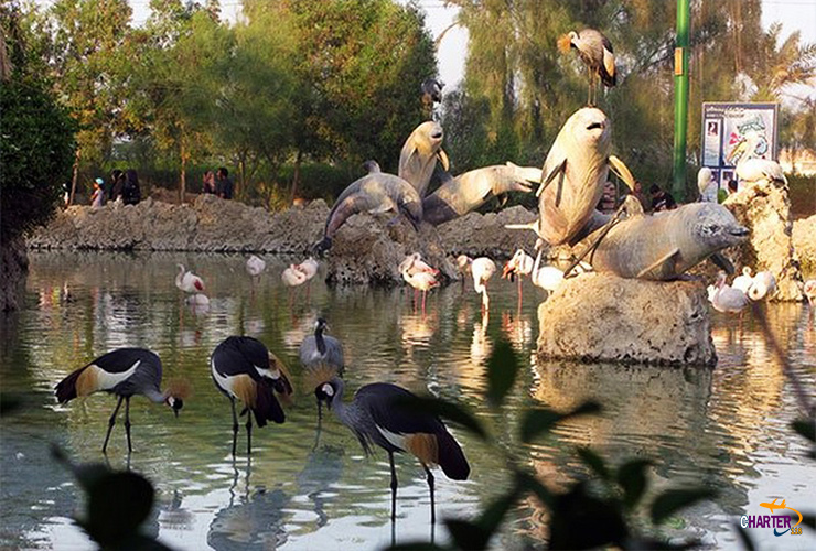 باغ پرندگان کیش