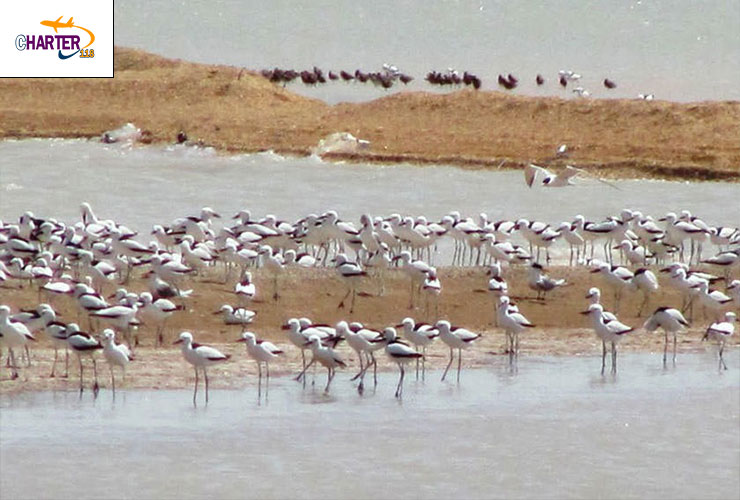 خور موسی ماهشهر