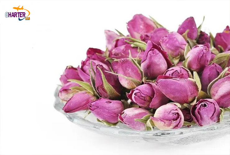 غنچه گل کاشان 