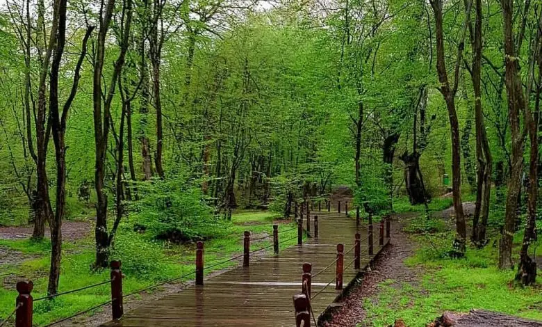 جاهای دیدنی گرگان | بهشت گمشده ایران