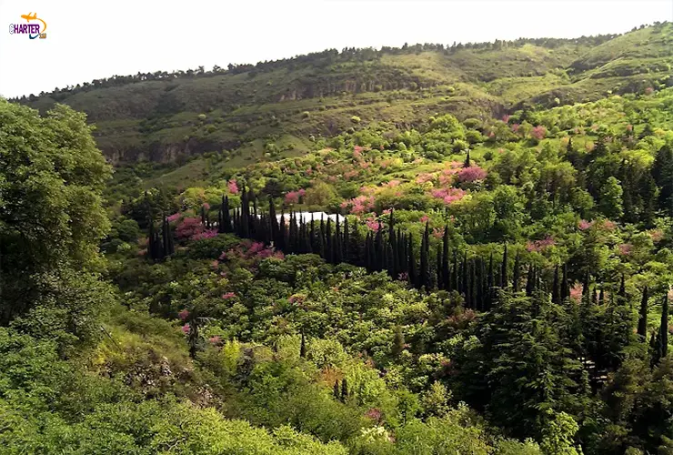 باغ گیاهشناسی تفلیس