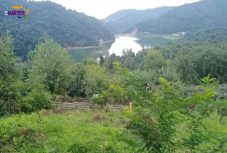 جنگل دالخانی رامسر
