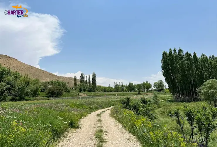 تنگه واشی کجاست