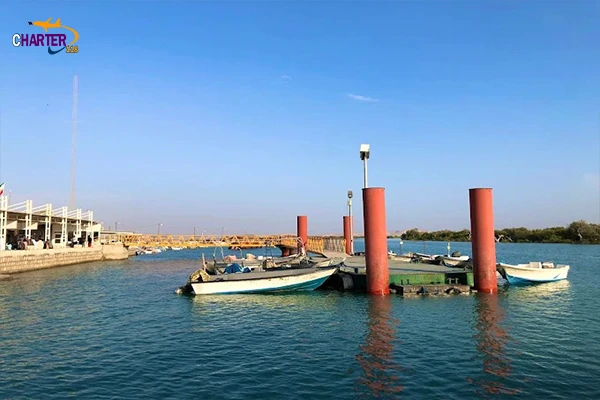 جنگل حرا کجاست
