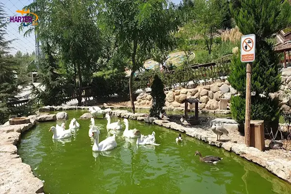 باغ پرندگان تهران کجاست