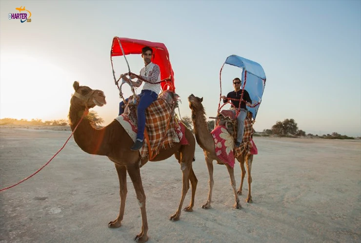 شتر سواری کیش