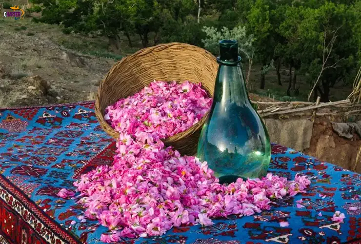 گلاب‌گیری کاشان