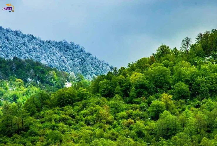 جنگل هیرکانی کجاست
