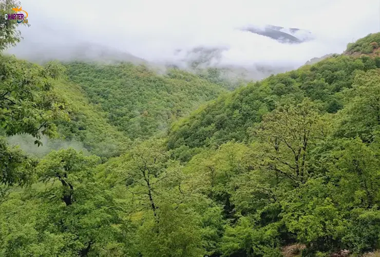 آبشار آب پری نور