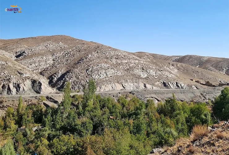 جنگل جیغ کجاست
