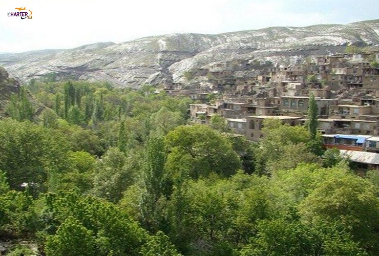 روستا تجر