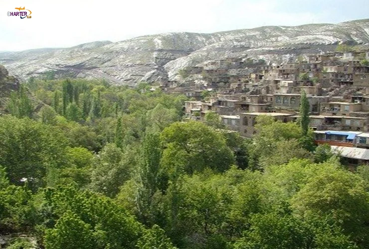 روستا تجر