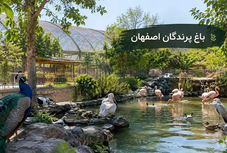 باغ پرندگان اصفهان | راهنما کامل بازدید، قیمت بلیط و آدرس