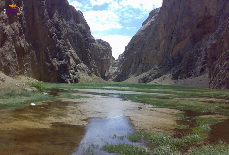 تنگه واشی