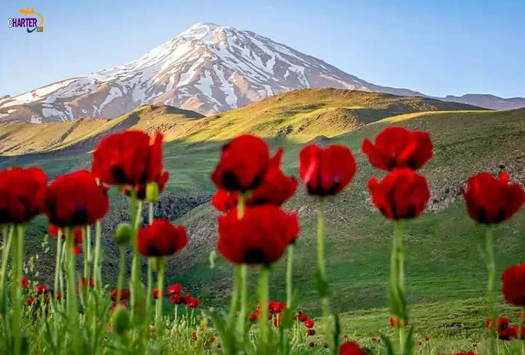 دشت لار