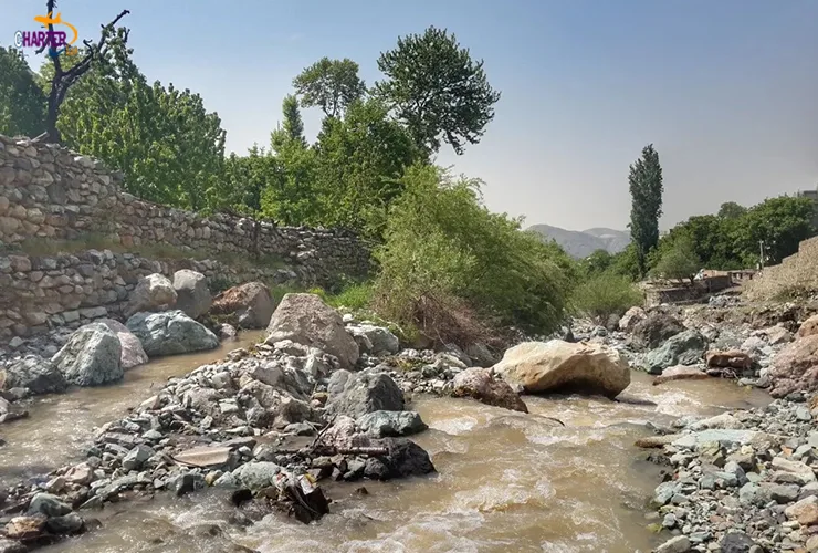 روستای افجه و دشت هویج