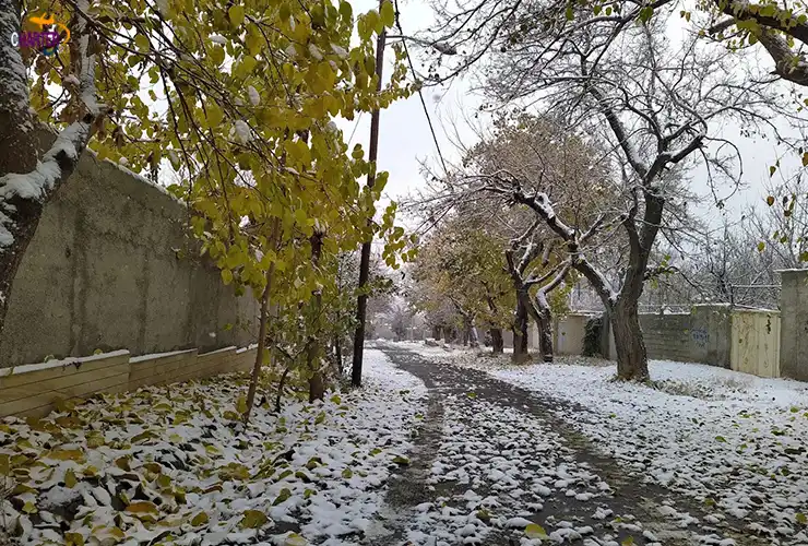 کردان